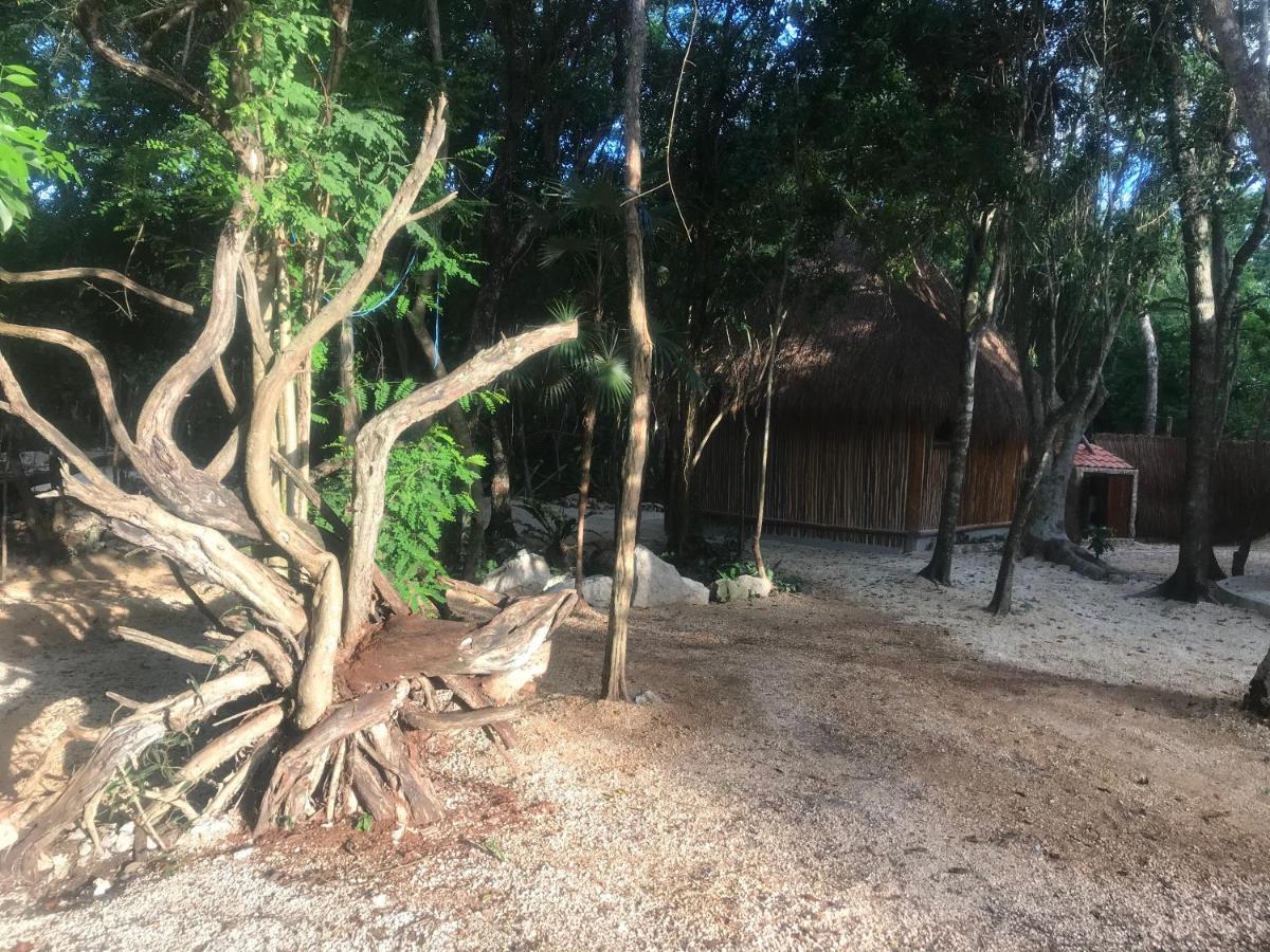 Hotel Tulum Nueve Extérieur photo