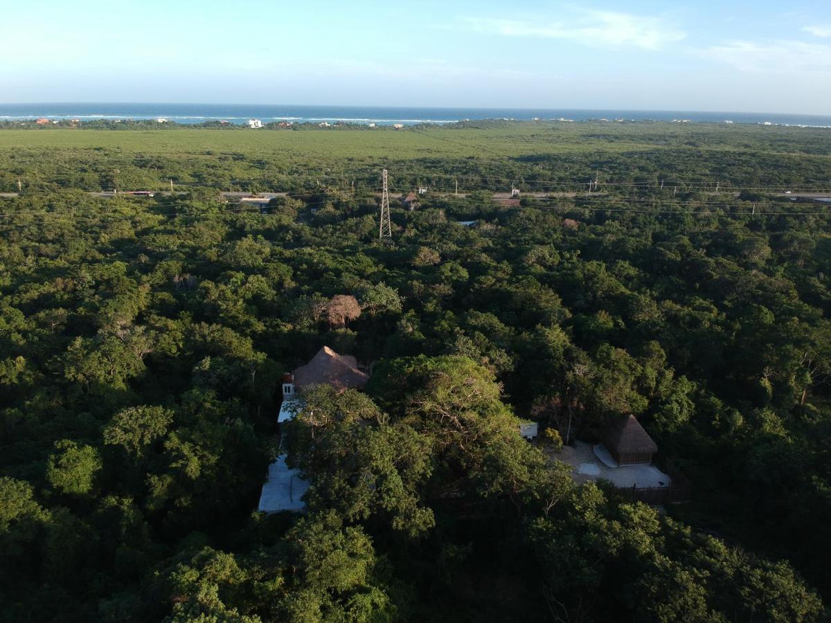 Hotel Tulum Nueve Extérieur photo